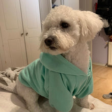 Cargar imagen en el visor de la galería, Hoodie clásico verde agua