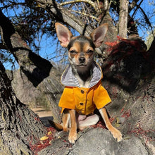 Cargar imagen en el visor de la galería, impermeable para perro Doglamour