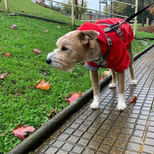 Cargar imagen en el visor de la galería, impermeable para perro Doglamour