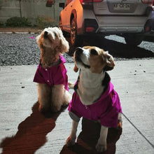 Cargar imagen en el visor de la galería, impermeable para perro Doglamour