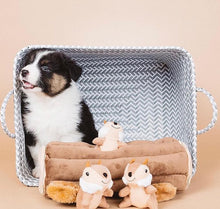 Cargar imagen en el visor de la galería, Juguete interactivo Zippy Burrow - Ardillas Large