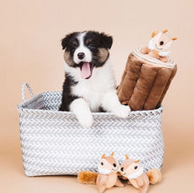 Cargar imagen en el visor de la galería, Juguete interactivo Zippy Burrow - Ardillas Large