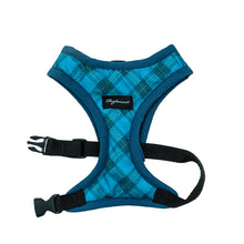 Cargar imagen en el visor de la galería, arnés para perro escoces