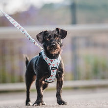 Cargar imagen en el visor de la galería, arnés para perro balloons