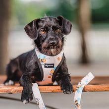 Cargar imagen en el visor de la galería, arnés para perro abejas