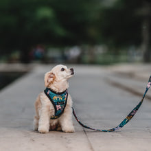 Cargar imagen en el visor de la galería, arnés para perro jungle