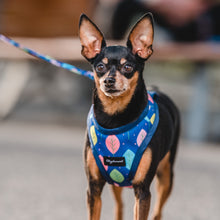 Cargar imagen en el visor de la galería, arnés para perro leaves