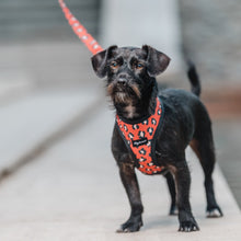 Cargar imagen en el visor de la galería, arnés para perro animal print café