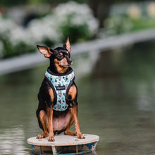 Cargar imagen en el visor de la galería, arnes perro tropical birds