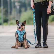Cargar imagen en el visor de la galería, Arnés para perro Floral Blossom