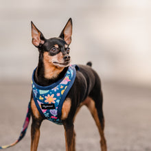 Cargar imagen en el visor de la galería, Arnés para perro Floral Ditsy