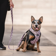 Cargar imagen en el visor de la galería, arnés para perro leopardos