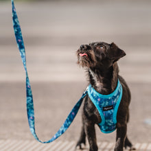 Cargar imagen en el visor de la galería, arnés para perro tropical leaves