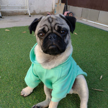 Cargar imagen en el visor de la galería, Hoodie clásico verde agua