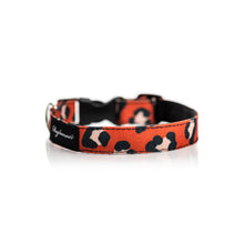 Cargar imagen en el visor de la galería, collar perro animal print café