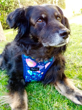 Cargar imagen en el visor de la galería, Arnés para perro Floral Ditsy