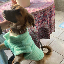 Cargar imagen en el visor de la galería, poleron para perro