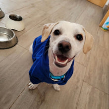 Cargar imagen en el visor de la galería, Hoodie clásico azul