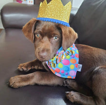 Cargar imagen en el visor de la galería, Set Feliz Cumpleaños Balloons - Corona Gold