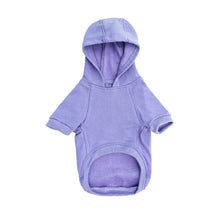 Cargar imagen en el visor de la galería, polerón para perro lavanda