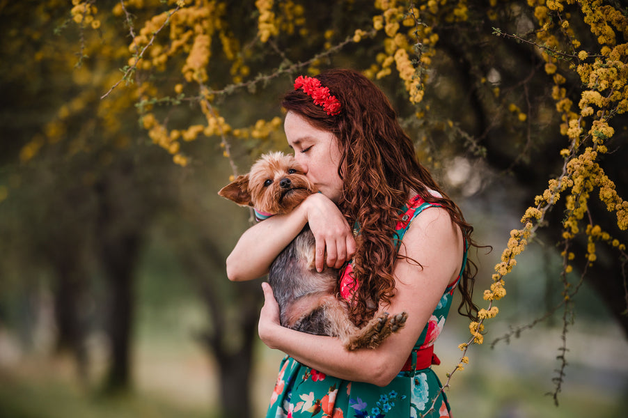 Fotografía de mascotas, por qué no te arrepentirás de hacer una sesión de fotos profesional con tu perrito
