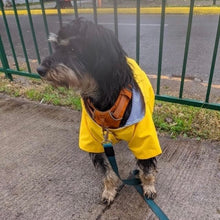 Cargar imagen en el visor de la galería, impermeable para perro Doglamour
