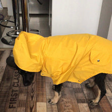 Cargar imagen en el visor de la galería, impermeable para perro Doglamour
