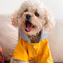 Cargar imagen en el visor de la galería, impermeable para perro Doglamour
