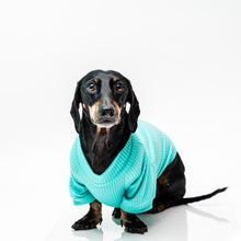 Cargar imagen en el visor de la galería, Polerón para perro Aqua
