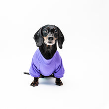 Cargar imagen en el visor de la galería, Polerón para perro Lavanda
