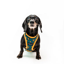 Cargar imagen en el visor de la galería, Arnés para perro Animal Print Orange Forest
