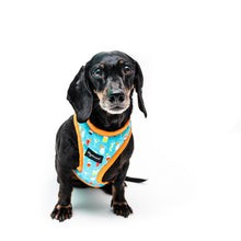 Cargar imagen en el visor de la galería, Arnés para perro My Happy H0ur!
