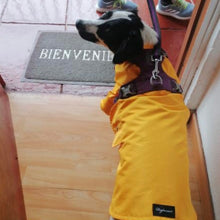 Cargar imagen en el visor de la galería, impermeable para perro Doglamour
