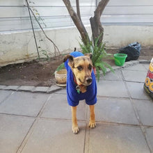 Cargar imagen en el visor de la galería, poleron para perro
