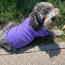 Cargar imagen en el visor de la galería, Polerón para perro Lavanda
