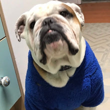 Cargar imagen en el visor de la galería, poleron para perro
