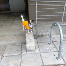 Cargar imagen en el visor de la galería, impermeable para perro Doglamour
