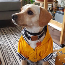 Cargar imagen en el visor de la galería, impermeable para perro Doglamour
