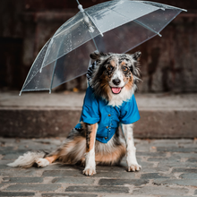 Cargar imagen en el visor de la galería, impermeable para perro Doglamour
