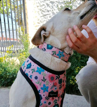 Cargar imagen en el visor de la galería, Arnés para perro Floral Pastel
