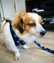 Cargar imagen en el visor de la galería, Arnés para perro Happy Galaxy
