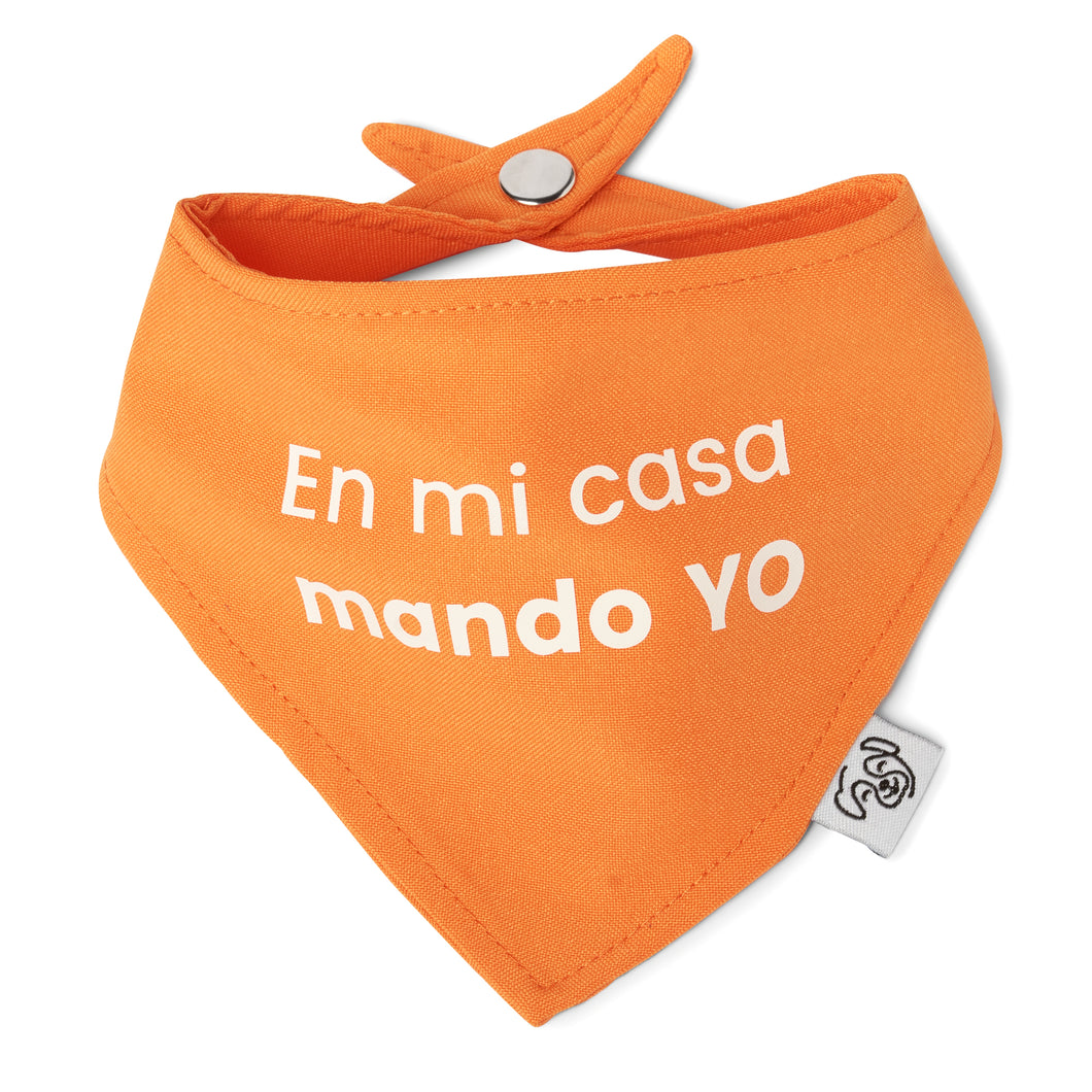 Bandana Frase 