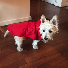 Cargar imagen en el visor de la galería, impermeable para perro Doglamour
