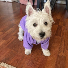 Cargar imagen en el visor de la galería, Hoodie clásico lavanda
