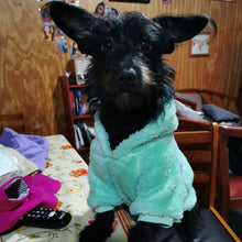 Cargar imagen en el visor de la galería, poleron para perro
