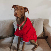 Cargar imagen en el visor de la galería, impermeable para perro Doglamour
