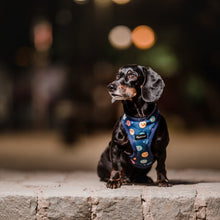 Cargar imagen en el visor de la galería, Arnés para perro Happy Galaxy
