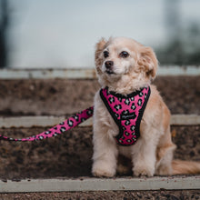 Cargar imagen en el visor de la galería, arnés para perro animal print rosado
