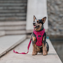 Cargar imagen en el visor de la galería, arnés para perro animal print fucsia
