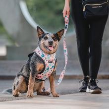 Cargar imagen en el visor de la galería, Arnés para perro Floral Pastel
